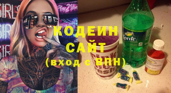 шишки Беломорск