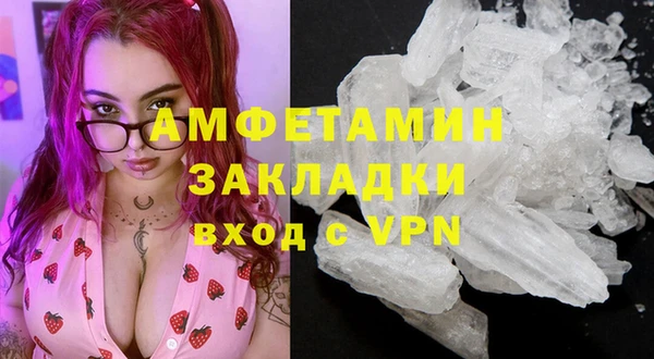 шишки Беломорск