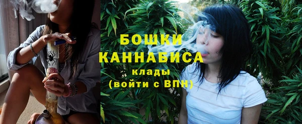 шишки Беломорск