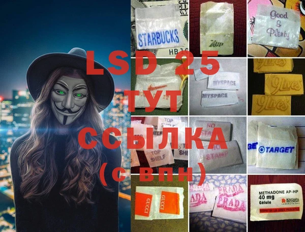 шишки Беломорск