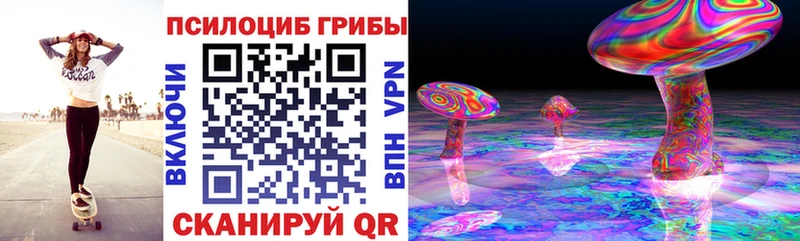 Псилоцибиновые грибы мухоморы наркотики Гремячинск